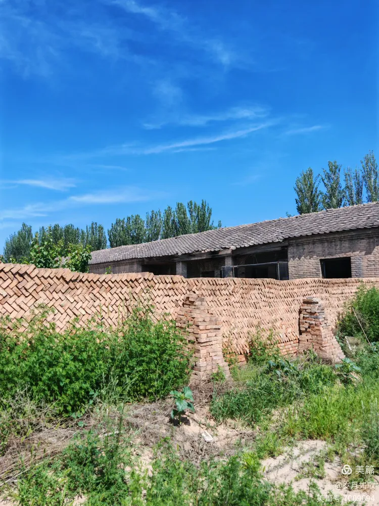 怀仁下寨农场:镌刻在岁月里的青春诗章